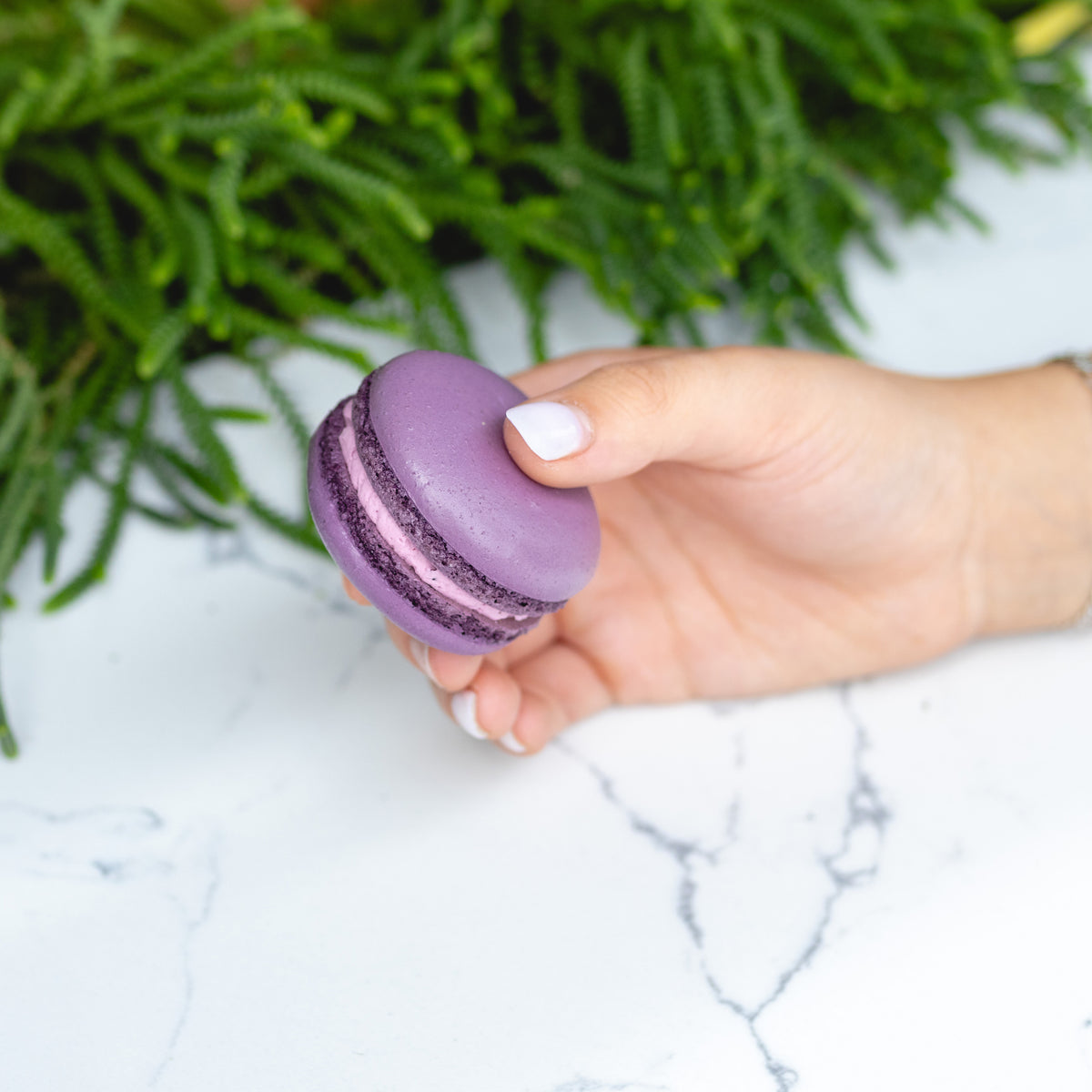 Wild Huckleberry Macaron – miFLAVOUR
