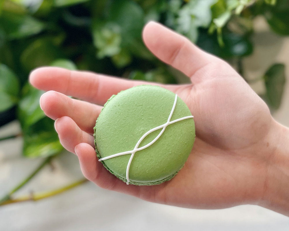 macaronカーキ36 macaronカーキ36 Publix Bakery Pistachio Macaron