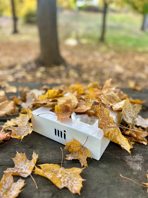 
                  
                    Load image into Gallery viewer, White dessert box with &amp;#39;mi&amp;#39; logo surrounded by autumn leaves on a stone surface. bakery branding
                  
                