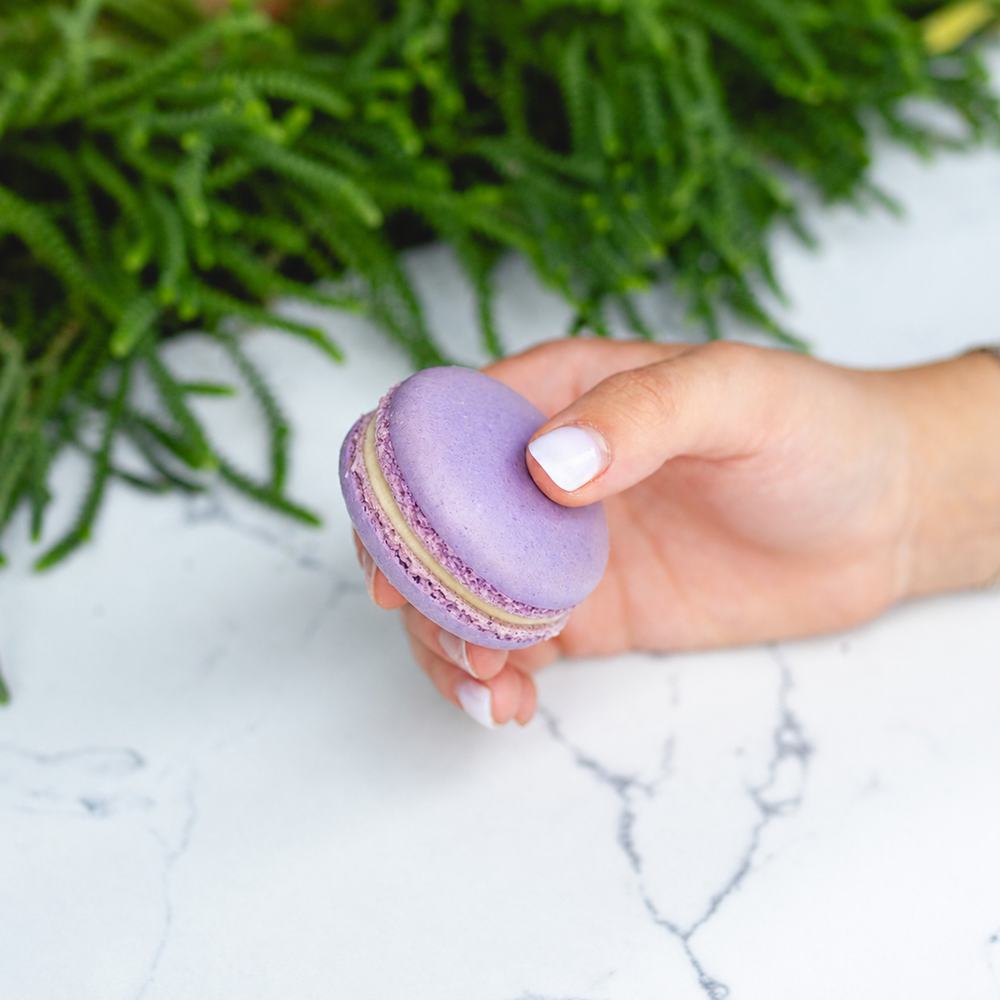 Lavender Macaron – miFLAVOUR